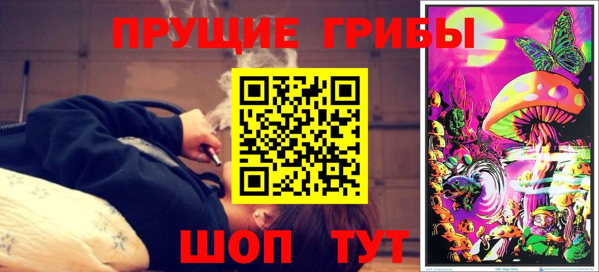 Галлюциногенные грибы Cubensis  Галлюциногенные грибы Psilocybine cubensis  Вход с VPN  Хасавюрт 