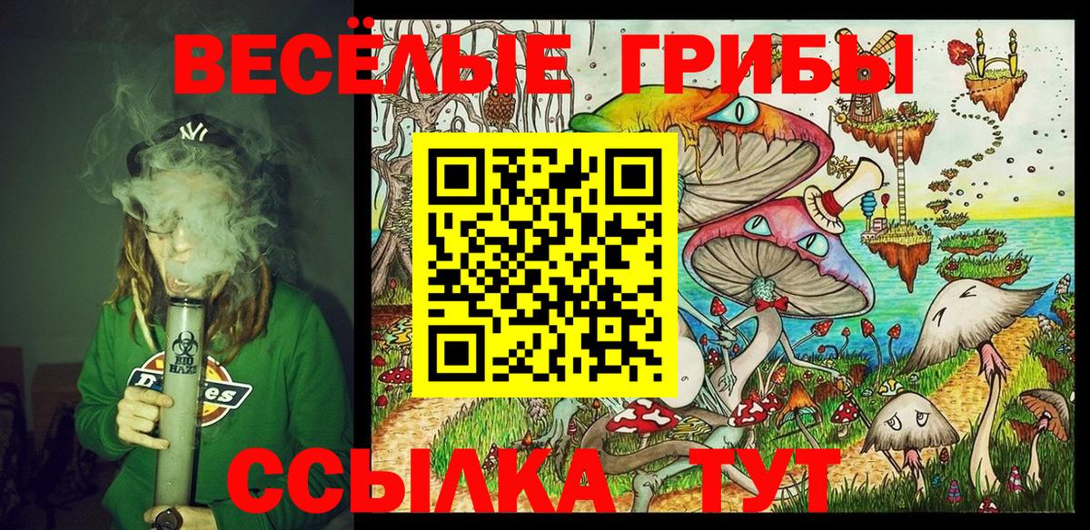 Псилоцибиновые грибы Magic Shrooms Хасавюрт